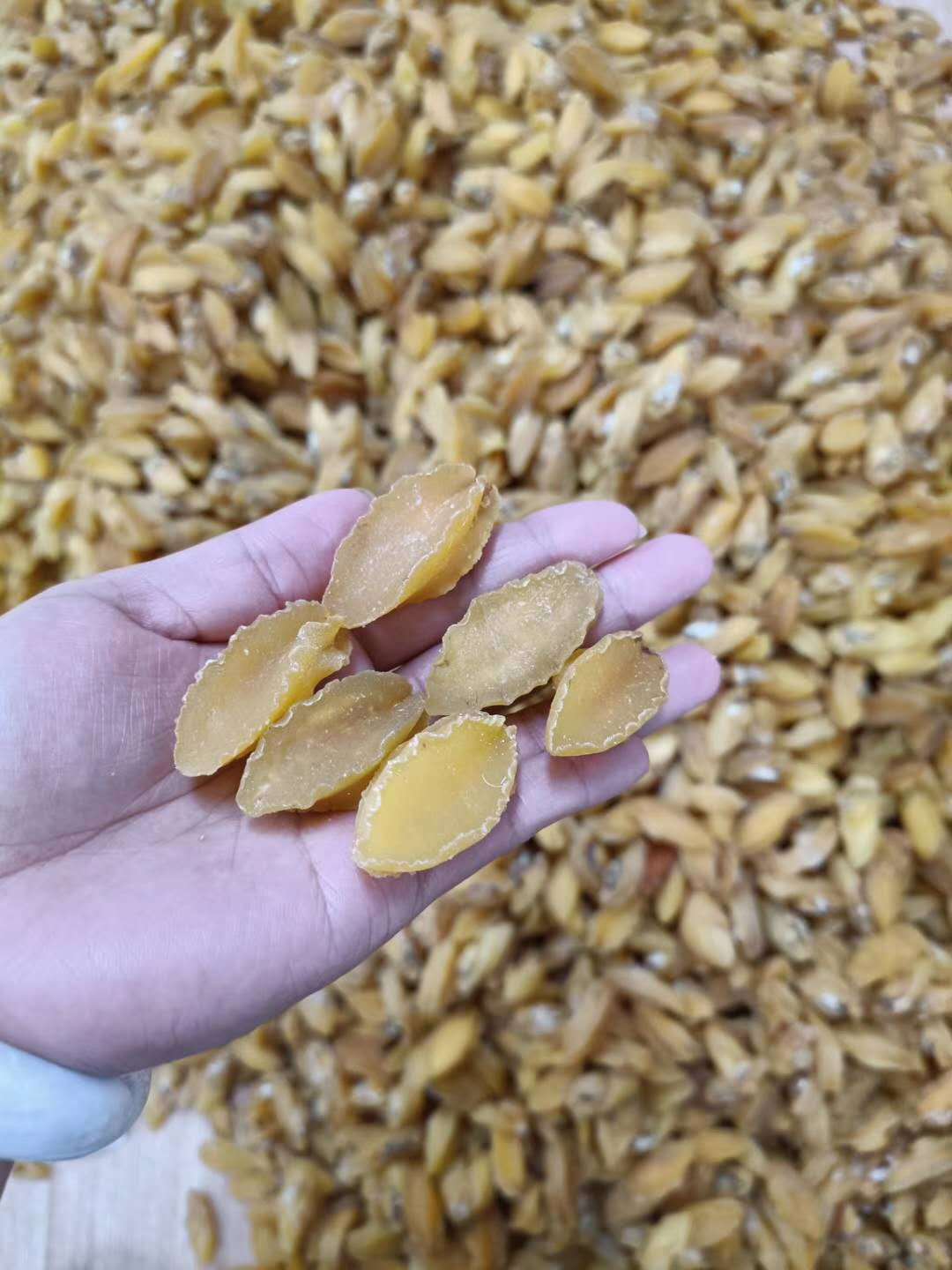 營養豐富，源頭直供——昌升新鮮金絲鮑魚與海味干貨批發